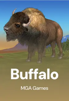 Buffalo